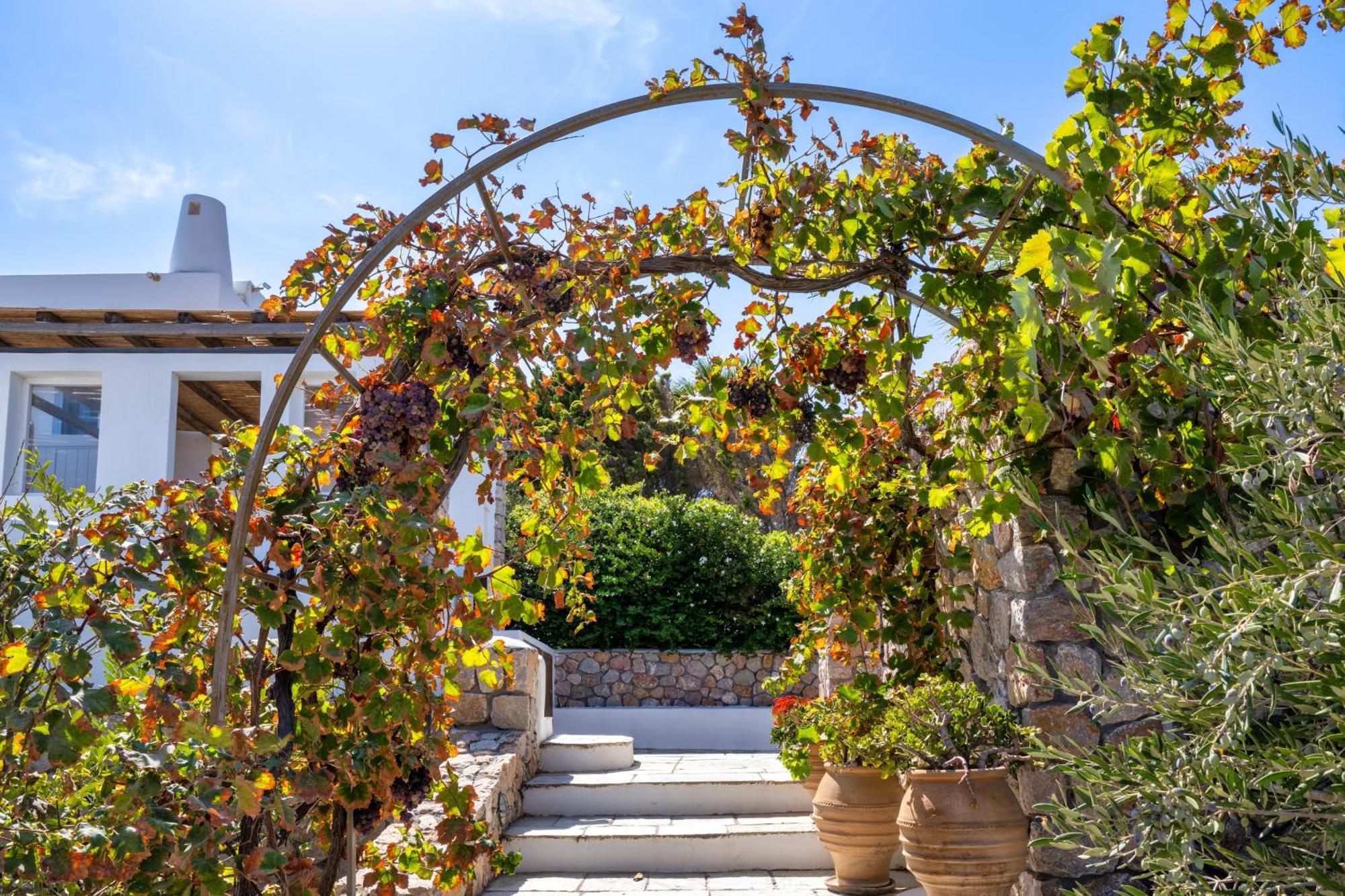 Anema Boutique & Santorini 4* Vourvoúlos