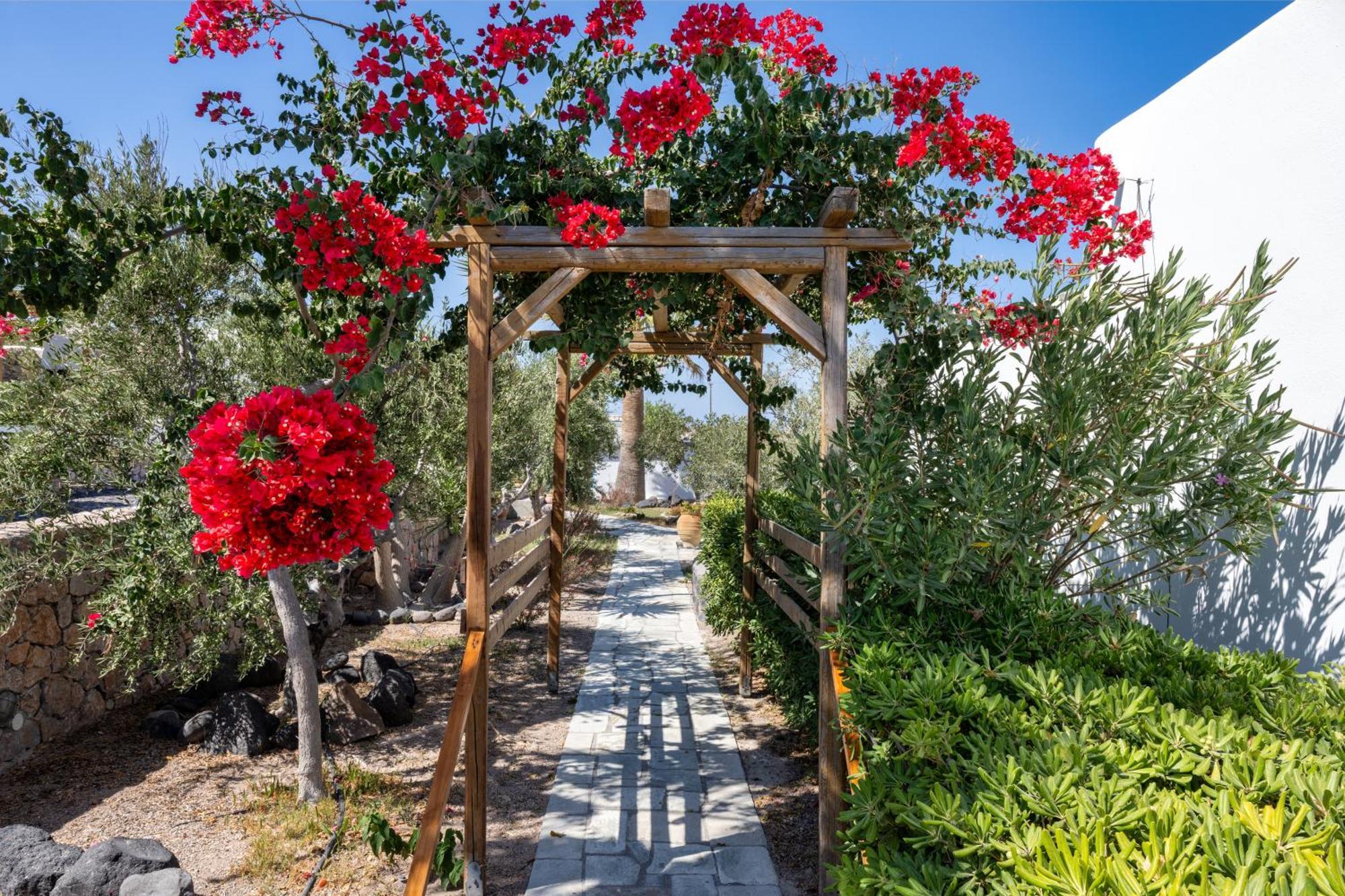 Hotel Anema Boutique & Santorini 4*